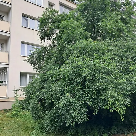 Apartmán Mokotow *